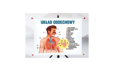 Biologia – pomoce naukowe do zawieszenia na ścianach sali